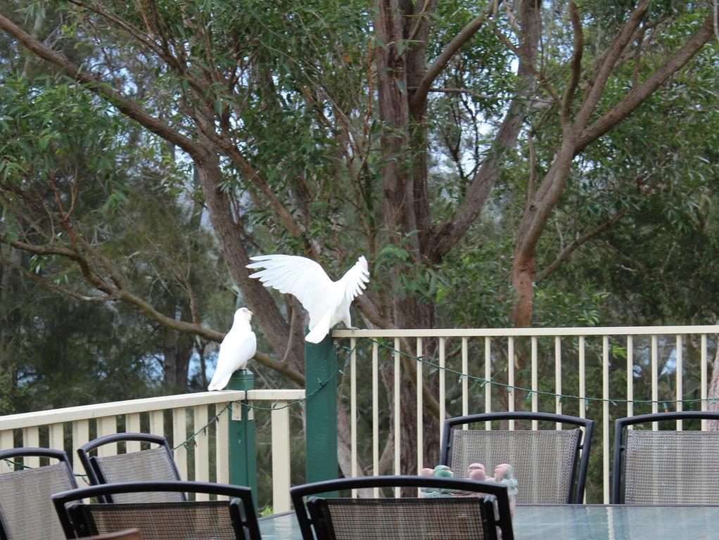 Blue Gum Cottage On Bay Bensville Exterior photo